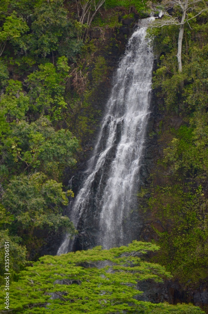 waterfall in the forest waterfall in the forest