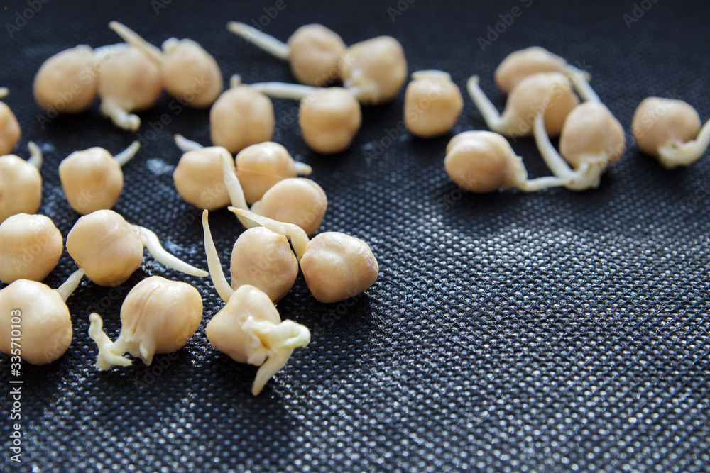 Sprouted chickpeas scattered on a black background Sprouted chickpeas scattered on a black background