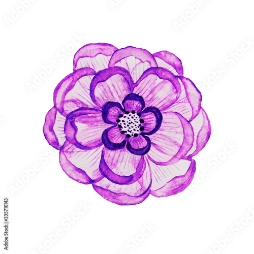 watercolor flower.bright, lilac, purple, delicate, transparent, volumetric, spring, summer, blooming