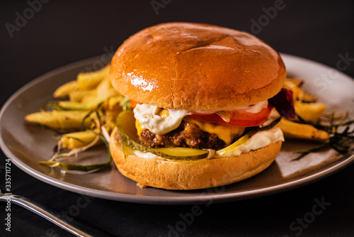 tasty burger with french fries