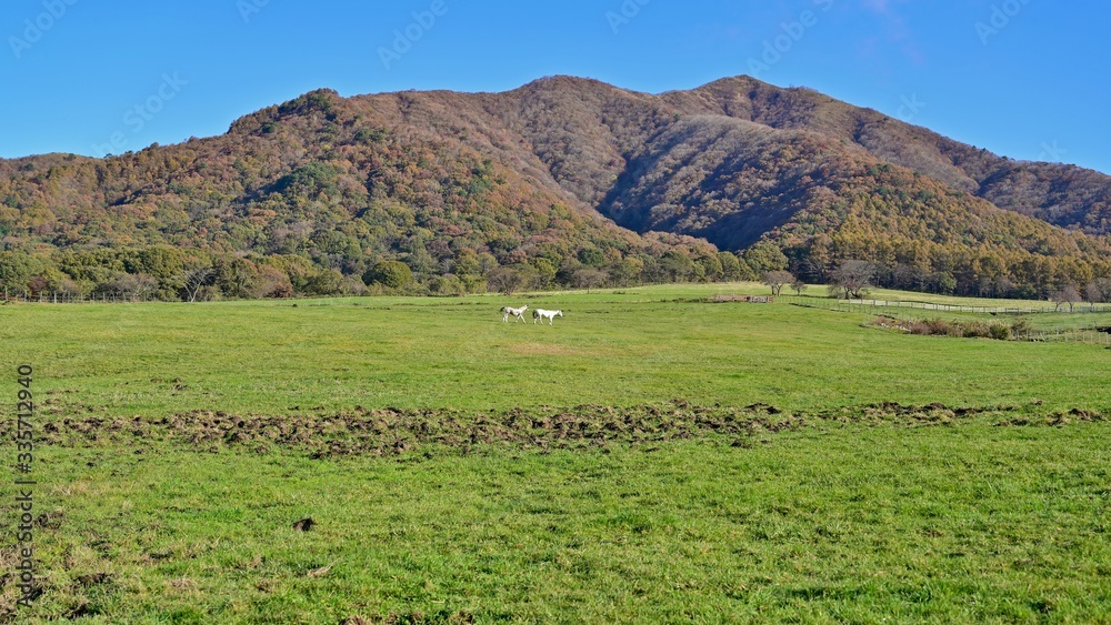 青空バックに秋の蒜山高原の情景＠岡山