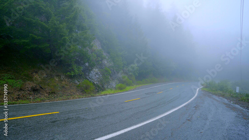 Lonesome road in the mist leading through the Redwoods National Park