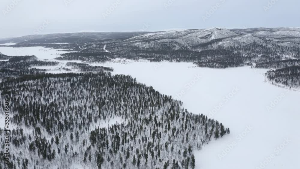 Cinematic wide shot aerial view of the pine trees forest covered in snow in Sweden.