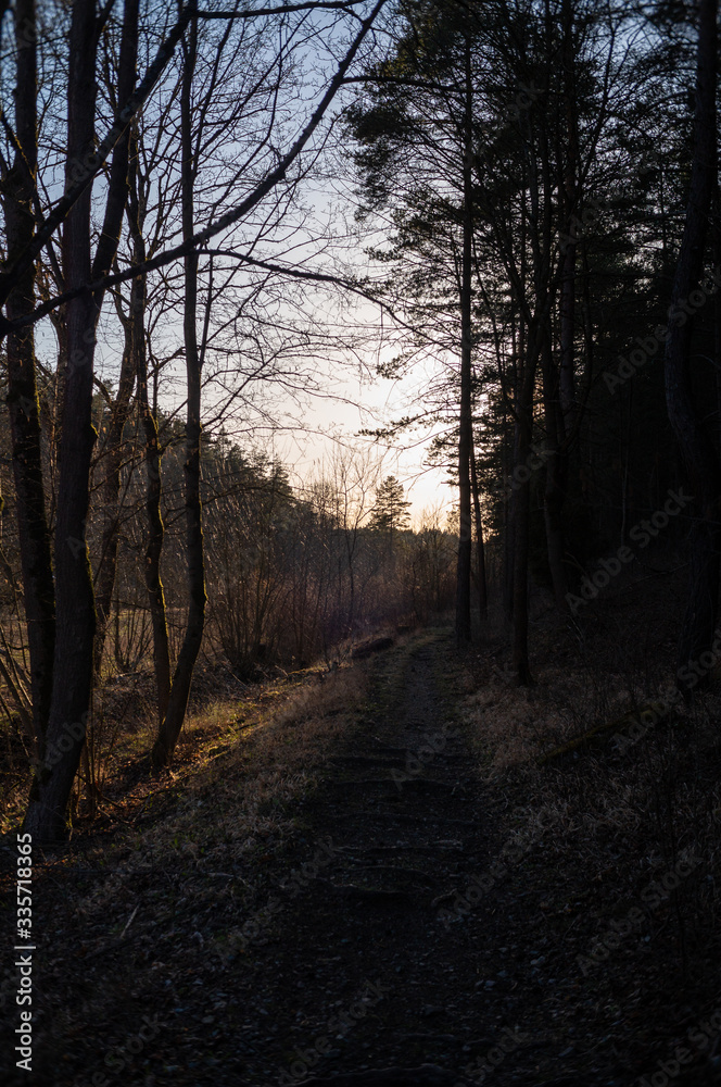 Fototapeta premium Landschaft im Frühling