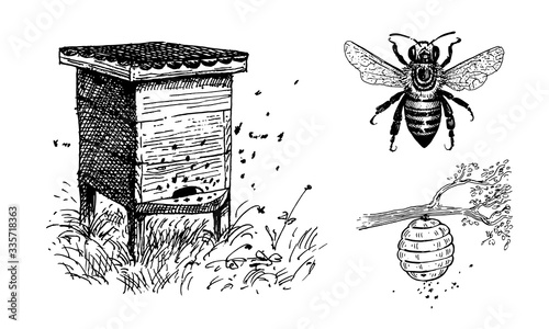 Bee hives, apiary, beehive on a tree branch and bee. Set of vector images.