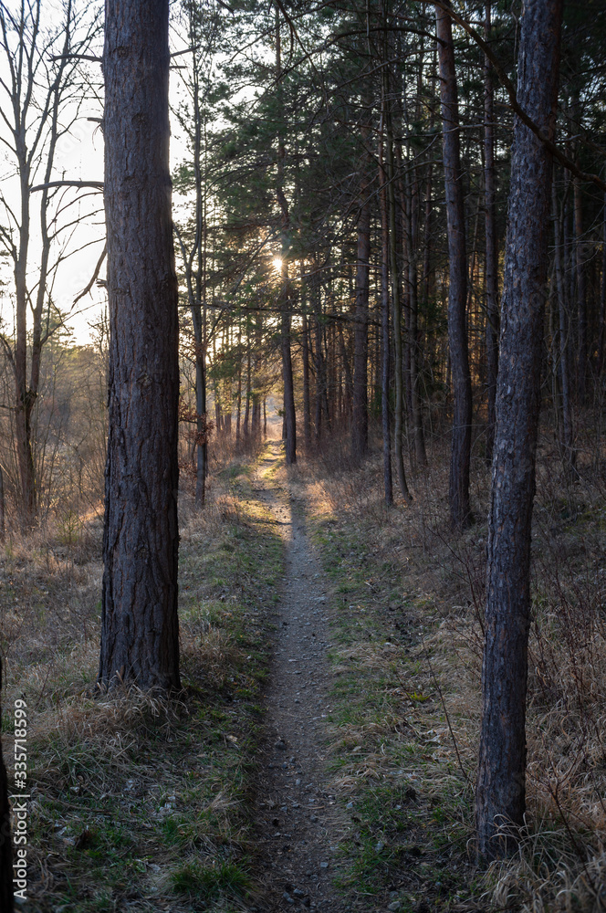 Fototapeta premium Landschaft im Frühling