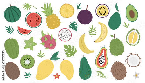 Fototapeta Naklejka Na Ścianę i Meble -  Vector tropical fruit and berries with slices and halves clip art. Jungle foliage illustration. Hand drawn flat exotic plants isolated on white background. Bright healthy summer food illustration..