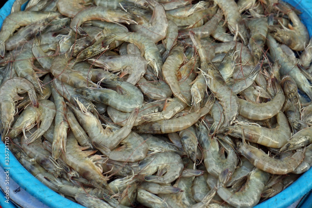 local market in hoi an