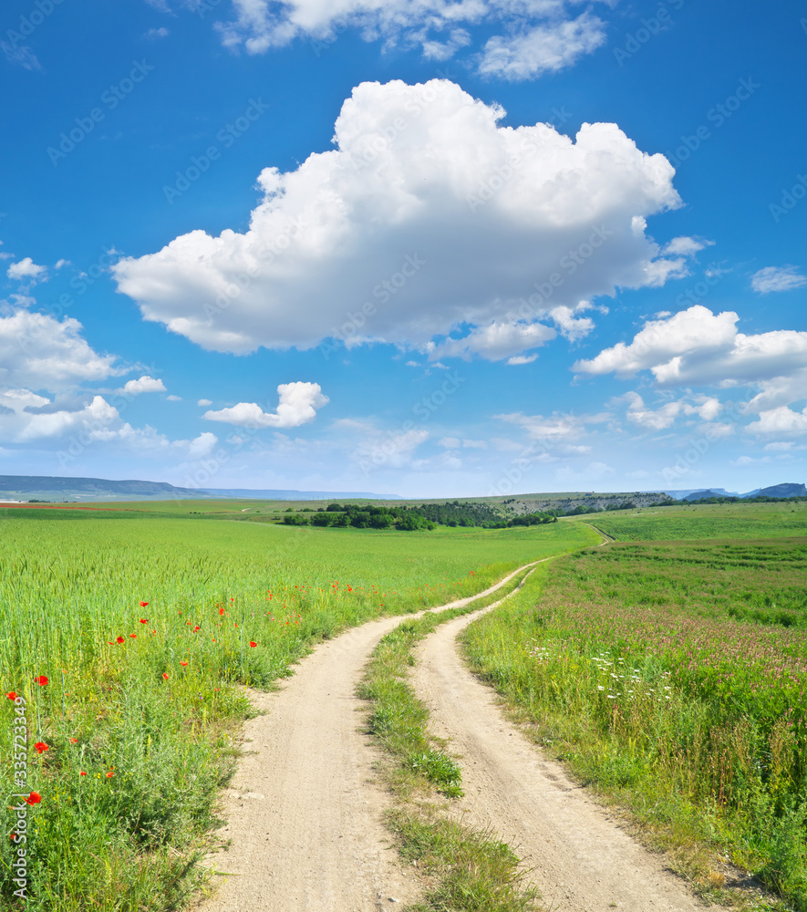 Road lane and deep blue sky.