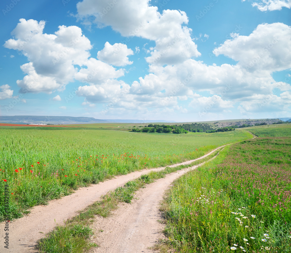 Obraz premium Road lane and deep blue sky.
