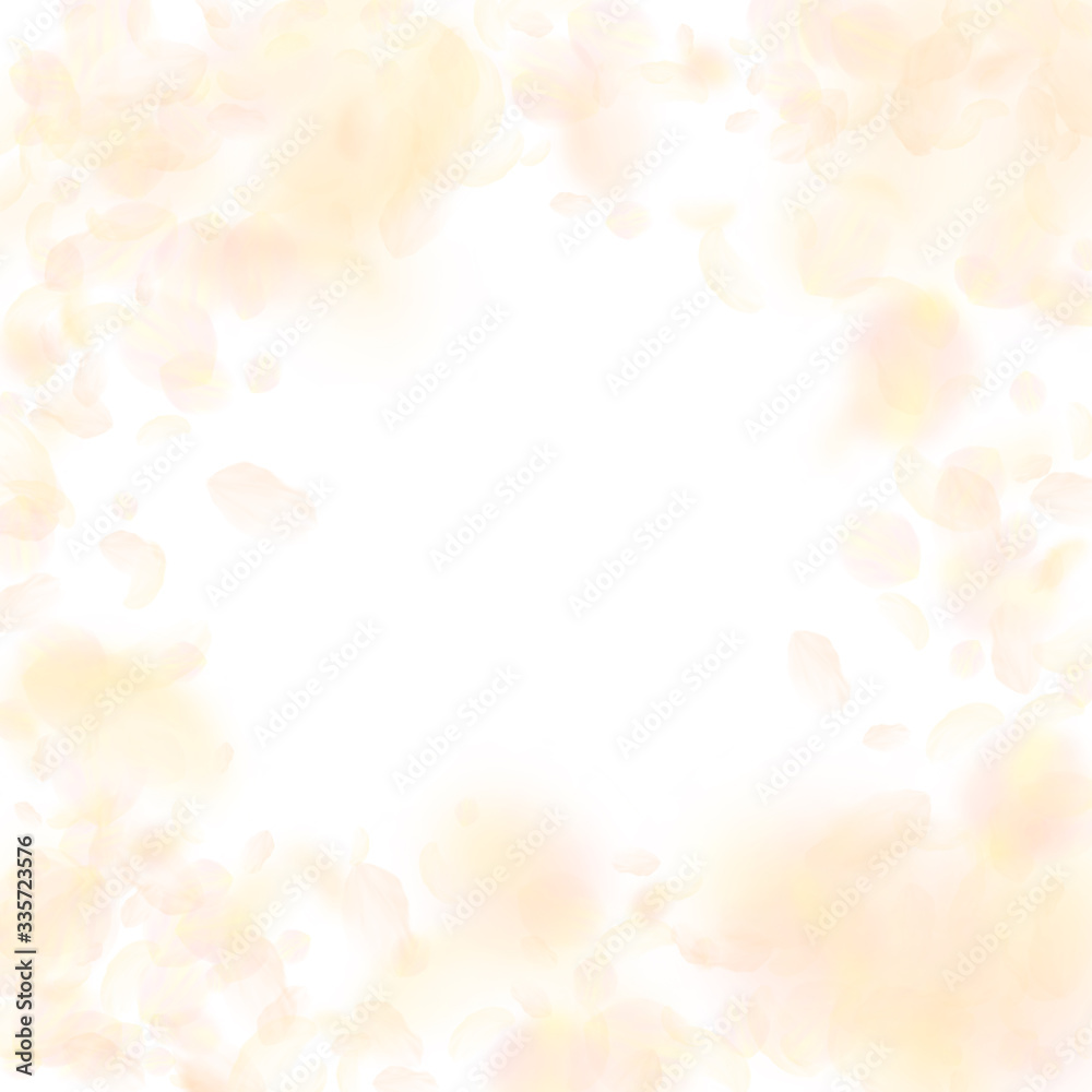 Yellow orange flower petals falling down. Brillian Yellow orange flower petals falling down. Brillian