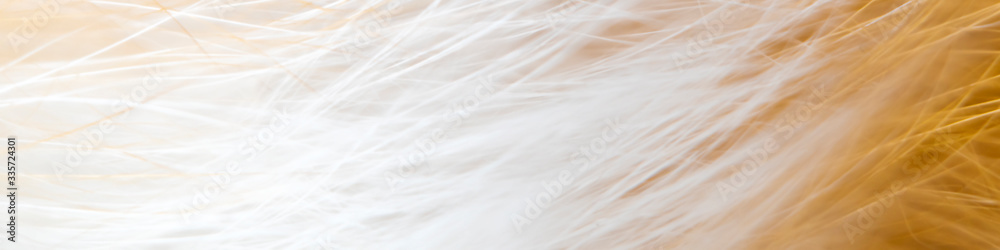 Blurred abstract background on the theme of fur in light, orange colors. Blurred abstract background on the theme of fur in light, orange colors.