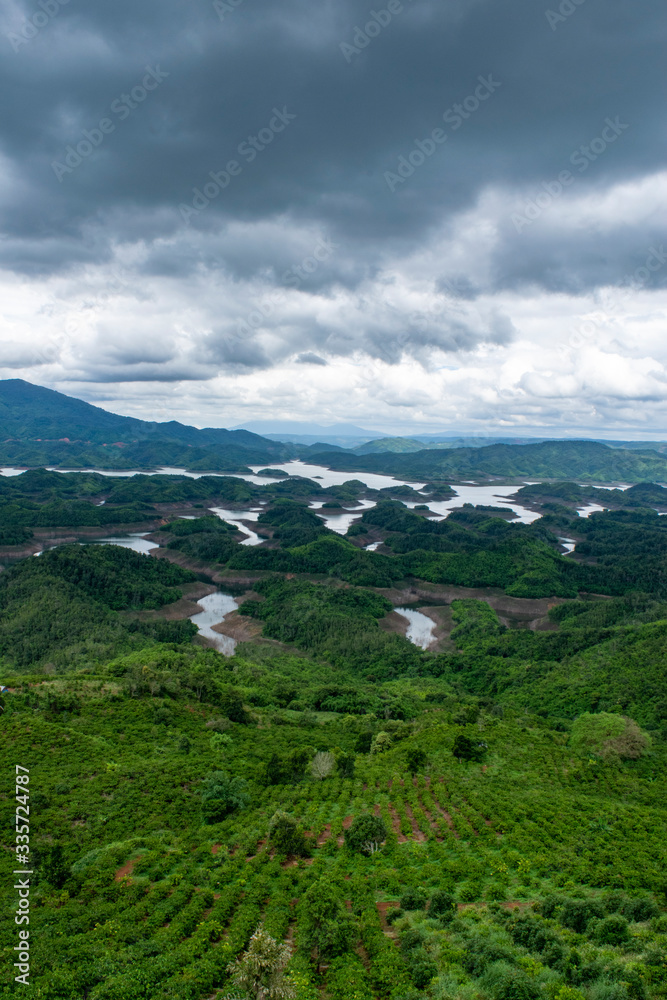 landscape tea plantation and river bao loc vietnam asia