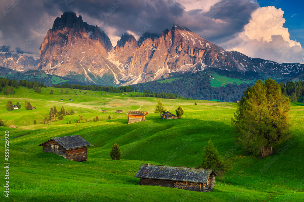 Summer landscape in the Dolomites, Alpe di Siusi resort, Italy