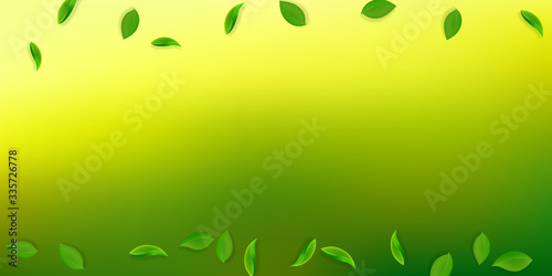 Falling green leaves. Fresh tea neat leaves flying