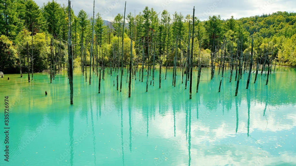 青い池