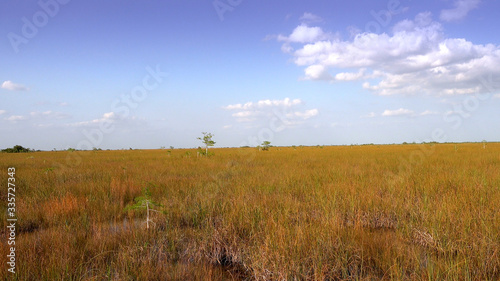 Amazing landscape in the Everglades of South FLORIDA