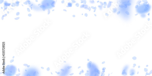 Dark blue flower petals falling down. Fabulous rom
