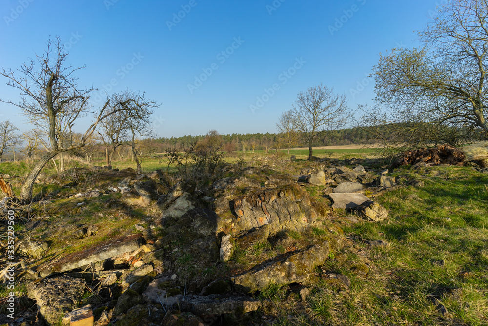 Fototapeta premium Landschaft im Frühling