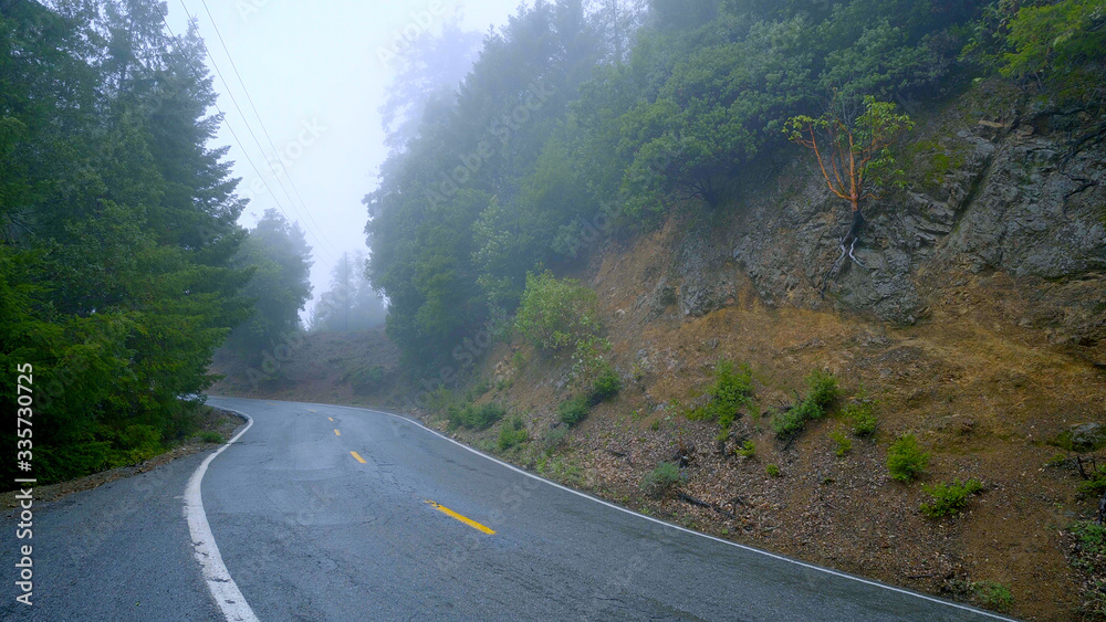 Lonesome road in the mist leading through the Redwoods National Park Lonesome road in the mist leading through the Redwoods National Park