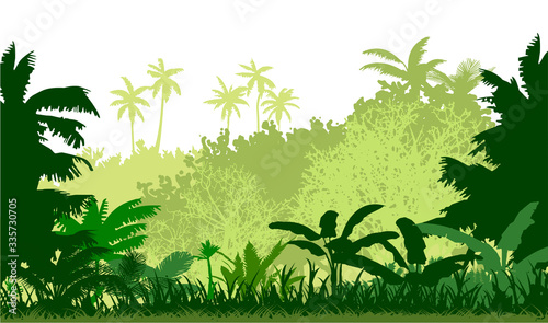 Jungle silhouette vector. Dense thickets and lush grass. Bright sunny day. Trees, shrubs and summer greens. Palm trees. Tropical landscape on the outskirts of the forest. Background picture.