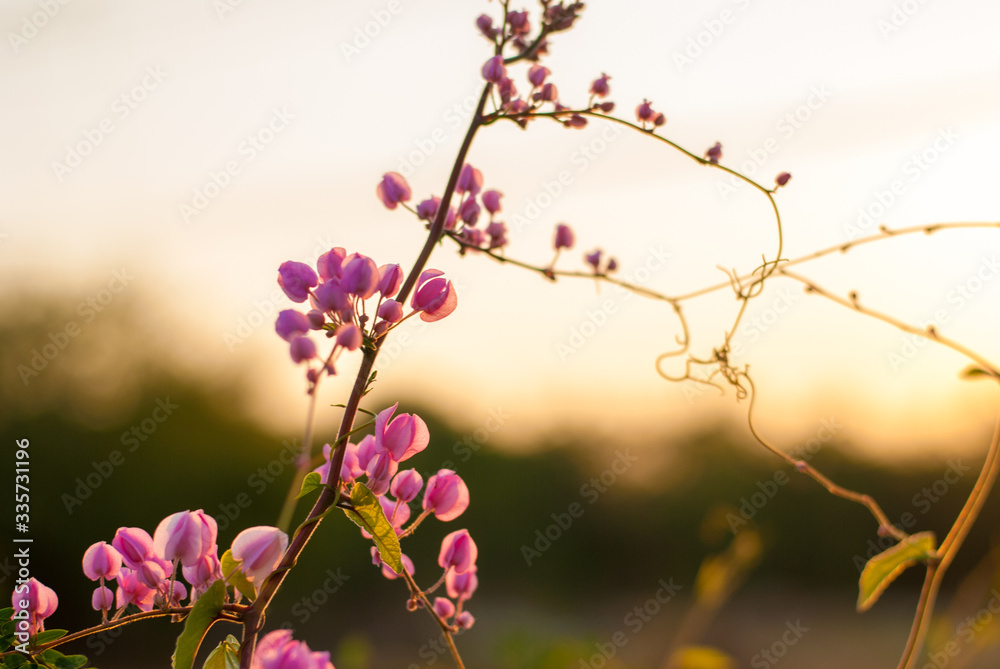 A bouquet flowers Chain of Love A bouquet flowers Chain of Love