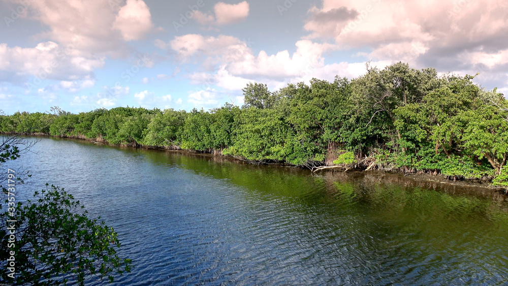 Beautiful green nature and landscapes in South FLORIDA