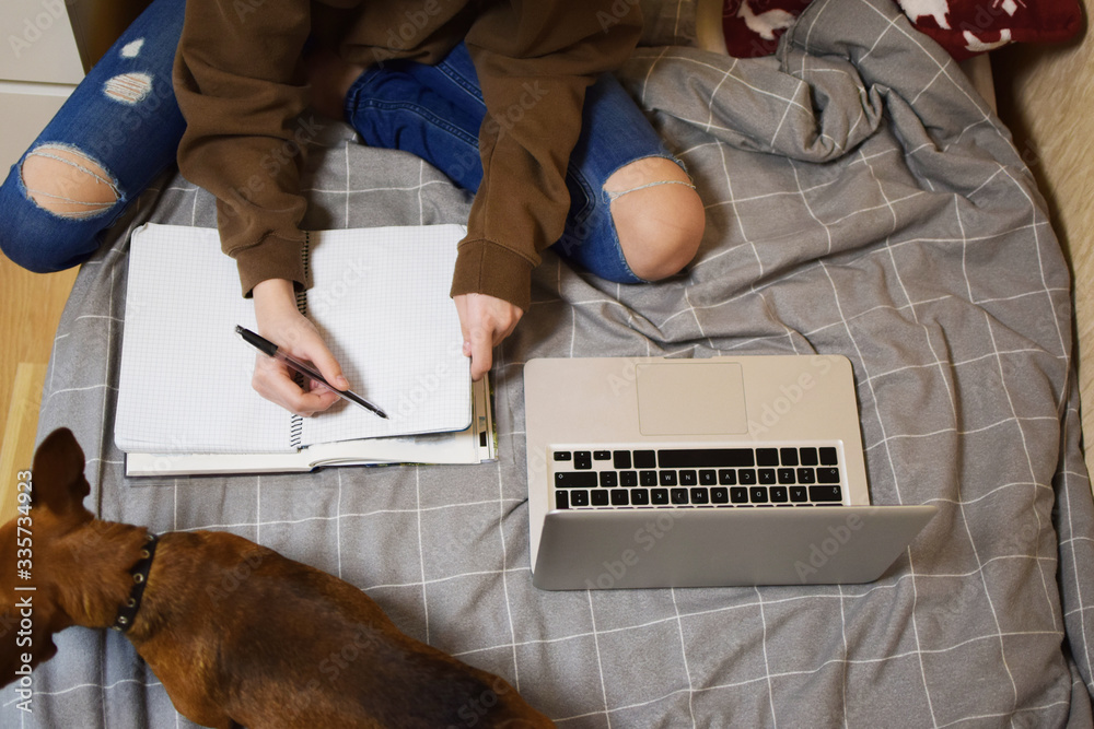 Teen girl sitting on bed with pet dog learning or working using laptop pc computer at home. Lifestyle girl studying indoors. Mobile office, e-learning , freelance business or quarantine concept.
