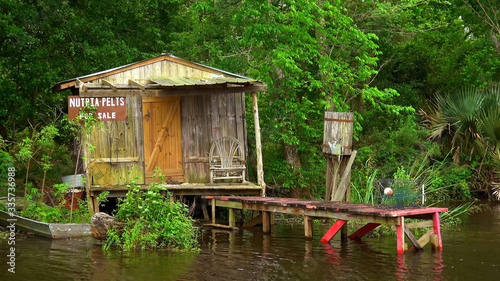 Wooden hut in the swamps © 4kclips