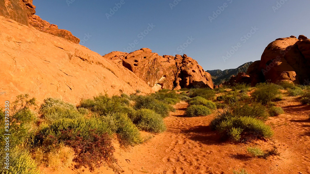 Beautful red rocks in the Valley of Fire in Nevada Beautful red rocks in the Valley of Fire in Nevada