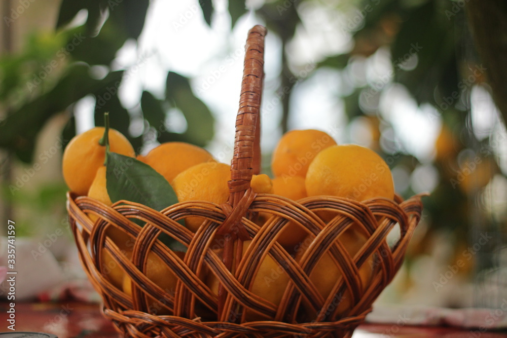 Limonary  lemons fruits nature