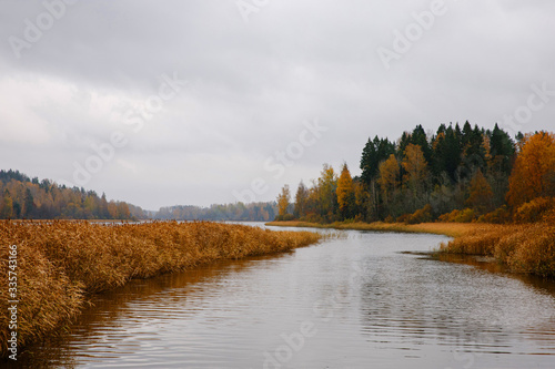 Autumn river water landscape