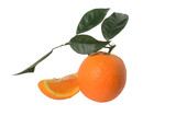 Orange on a branch with leaves with a half cut orange isolated on a white background