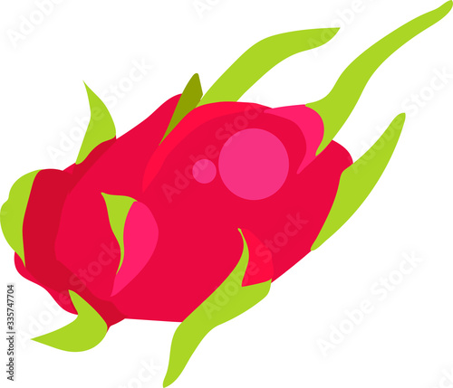 vector illustration of a dragon fruit
