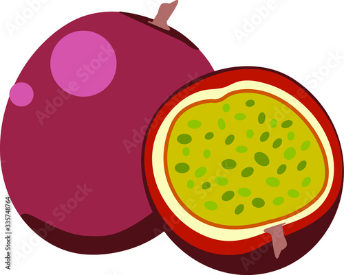vector illustration of a passion fruit