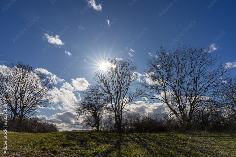 Landschaft im Frühling