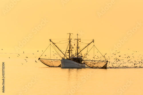 Fischkutter mit ausgelegten Netzen und Schwarm von Seemöwen bei Sonnenuntergang, Nordsee, Nationalpark Schleswig-Holsteinisches Wattenmeer, Schleswig-Holstein, Deutschland