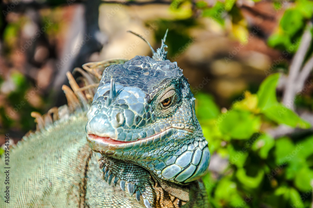 Obraz premium Beautiful Miami