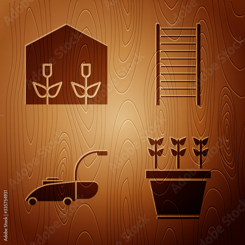 Set Plants in pot, Home greenhouse and plants, Lawn mower and Wooden staircase on wooden background. Vector