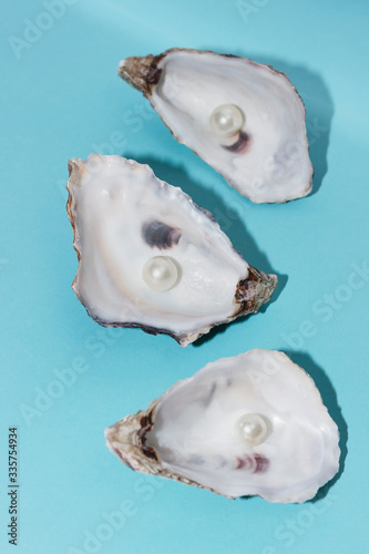 
Oyster shells with pearls on a blue pastel background. Background, texture. Luxury concept