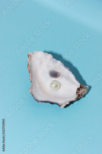 
Oyster shells with pearls on a blue pastel background. Background, texture. Luxury concept