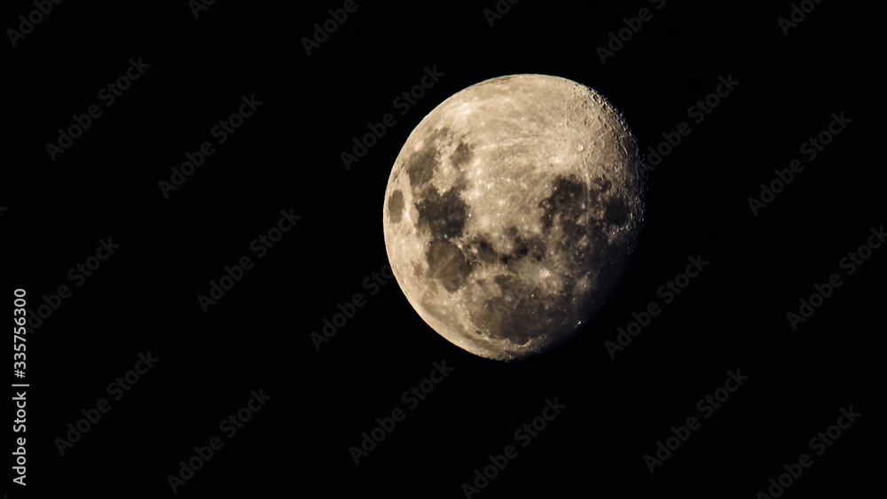 Moon Moon