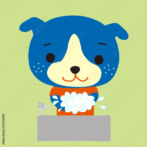 手を洗うかわいい青い仔犬
A cute & little blue dog washing hands