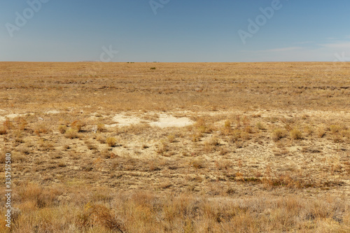 Cuadro en lienzo desert steppe in autumn in the Aral region of Kazakhstan, dry grass