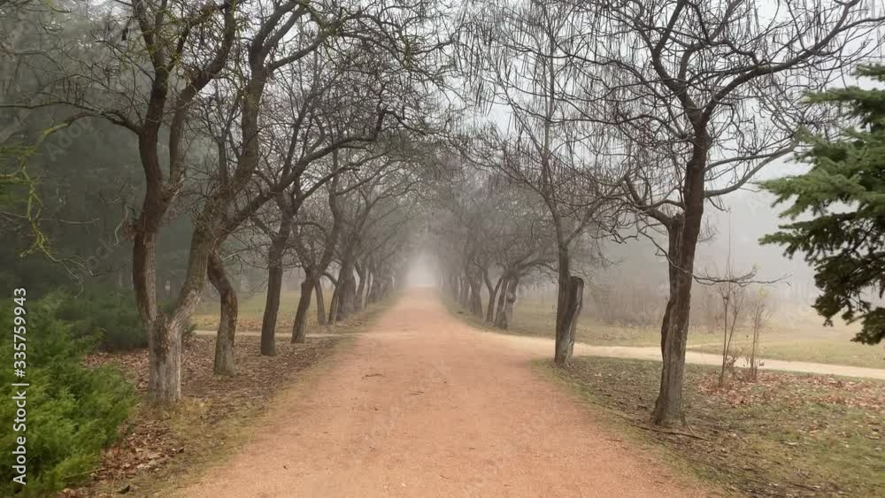 Walking down autumn park alley in the fog, empty foggy footpath with bare trees on a cloudy day. Walking down autumn park alley in the fog, empty foggy footpath with bare trees on a cloudy day.