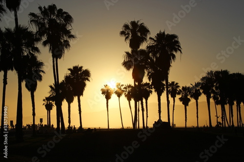 Venice Beach - Los Angeles