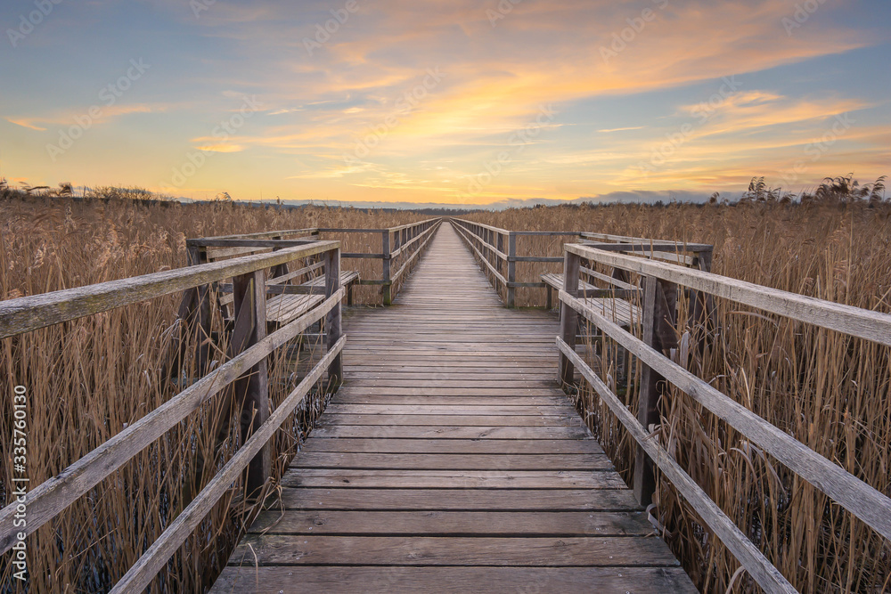 Holzsteg in einem Naturschutzgebiet in Baden Württemberg, der in den Sonnenungergang führt.