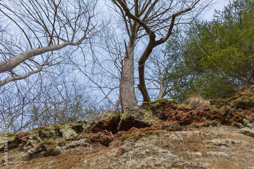 City Sigulda, Latvia. Historic sand cliffs and trees. Travel photo.