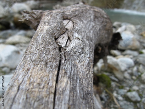 Macro