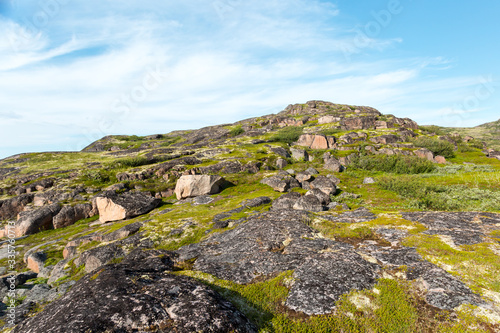 Northern polar summer in tundra. Beautiful coastline of Barents sea  Kola Peninsula  Russia